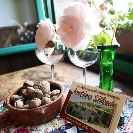 Agroturismo All'antico Silbule *