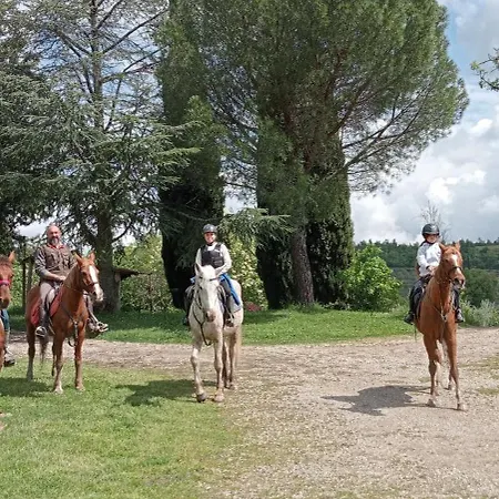 All'antico Silbule * Casavecchia