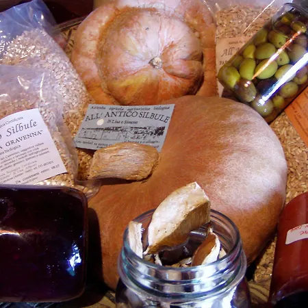 Gospodarstwo agroturystyczne All'antico Silbule *