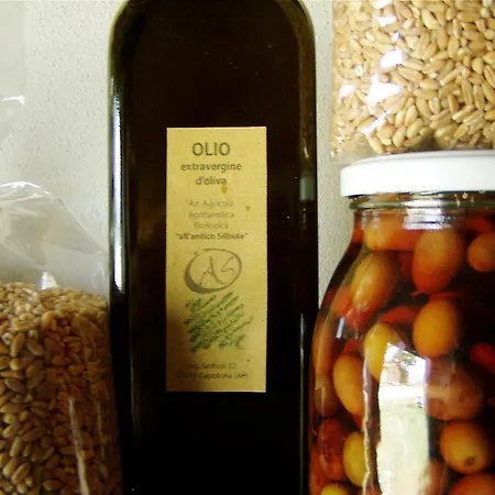 Gospodarstwo agroturystyczne All'antico Silbule *