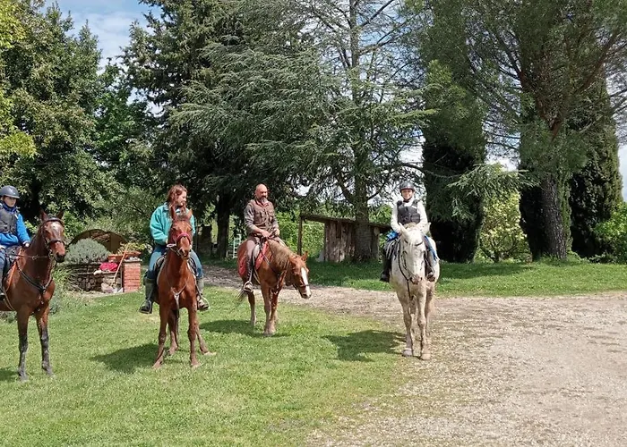 Çiftlik konaklama All'antico Silbule *