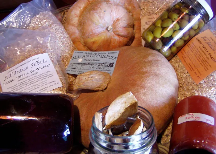 Фермерский дом All'antico Silbule *