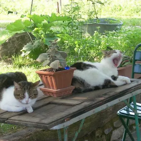 All'antico Silbule Casavecchia