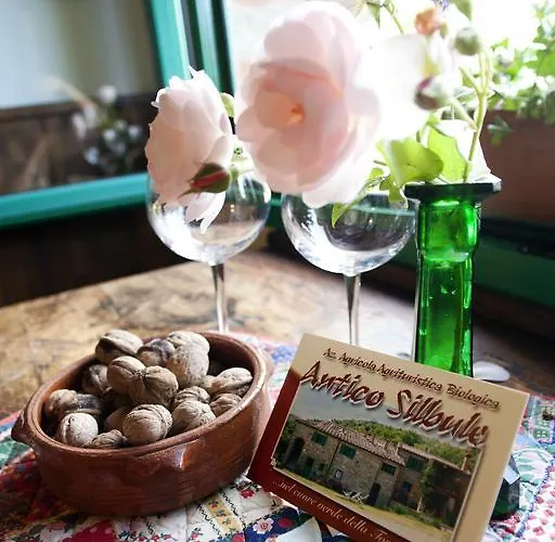 Farmház All'antico Silbule *